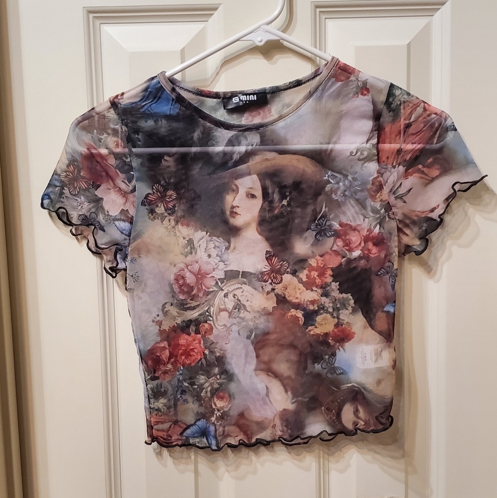 Sheer Mesh Vintage Painting Baby Tee Size Small